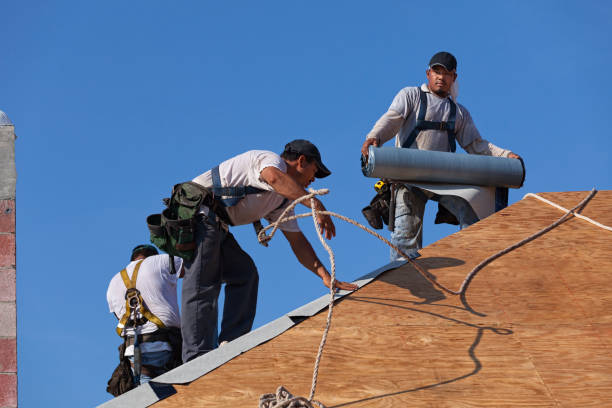 Best Storm Damage Roof Repair  in Gloverville, SC