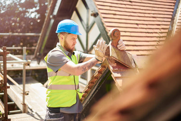 Best Roof Gutter Cleaning  in Gloverville, SC